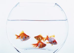 巴林右旗化妝品有限責任公司